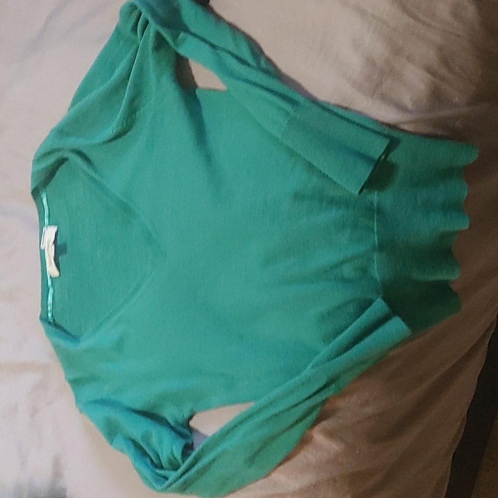 Green sweater ellen tracy